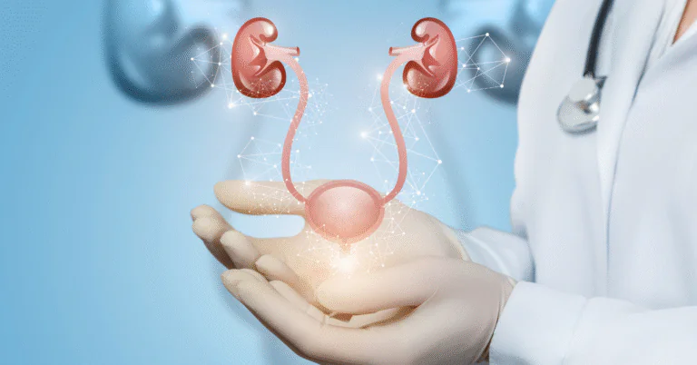 Ilustração do sistema urinário relacionada à cirurgia robótica para câncer de bexiga